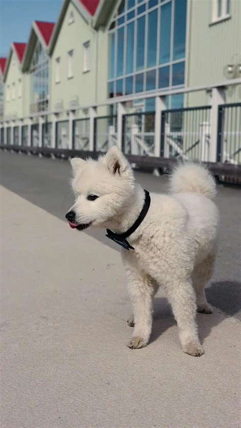 Dixies+Trailer+Park+Videos Videos, Download The BEST Free 4k Stock ...