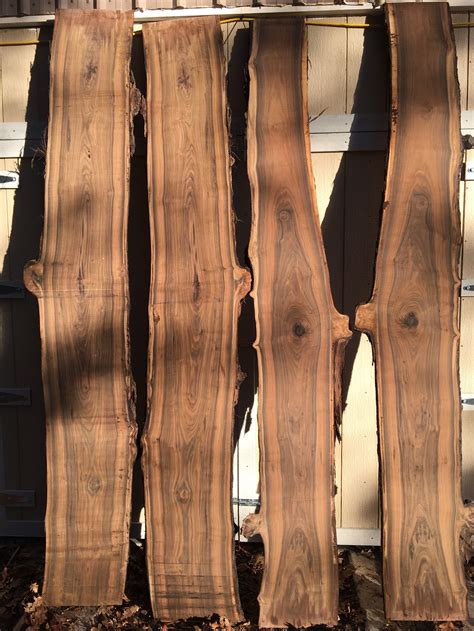 Walnut Wood Slabs - Frison-Logue Hardwoods