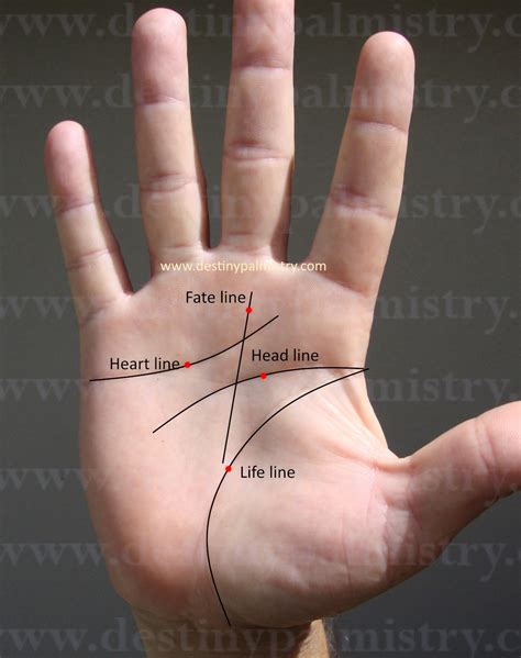 Palmistry Destiny Line