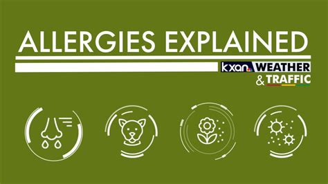 Allergy Report: Austin and Central Texas | KXAN Austin