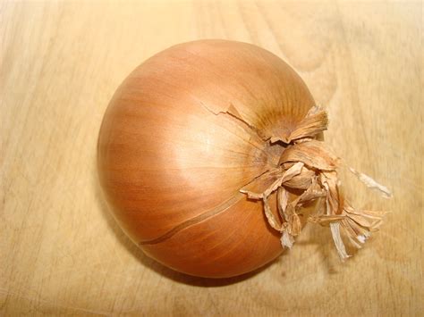 How To Cut An Onion Without Crying Wikihow at Piper Armit blog