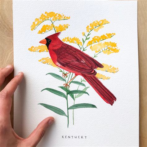 Kentucky State Bird Art Print / Kentucky Cardinal y Goldenrod | Etsy
