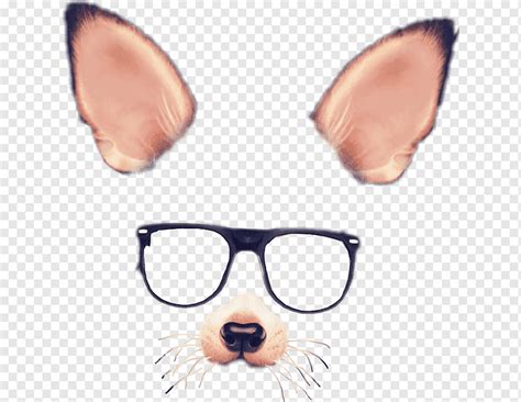 Chihuahua camera filter, Spectacles Snapchat graphic filter, filter ...