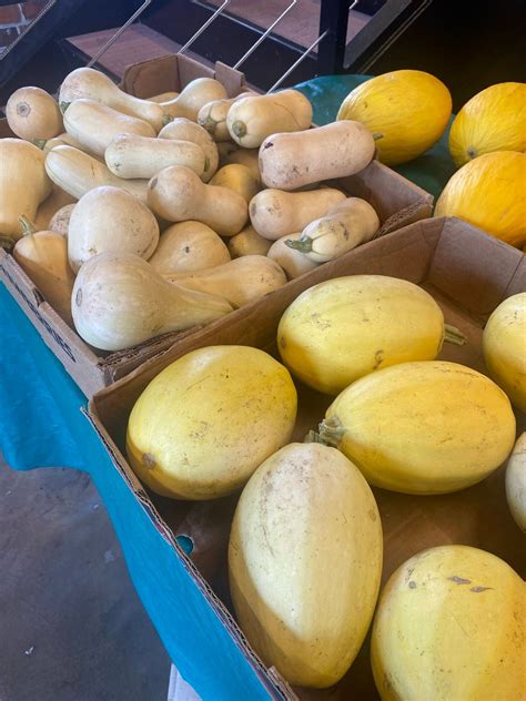 Beat the heat with us in the Lake City Farmers Market!, The Bean Market ...