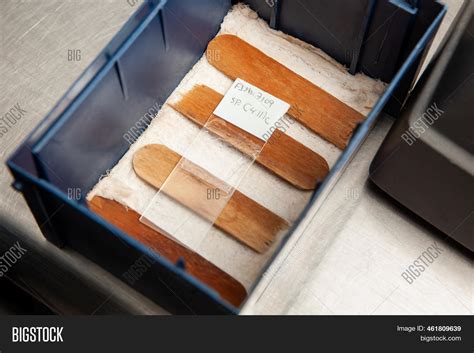 ภาพและภาพถ่าย (ทดลองใช้ฟรี) | Bigstock