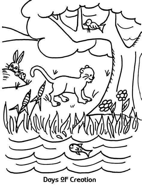 Creation Coloring Pages – Printable Coloring Pages. FREE