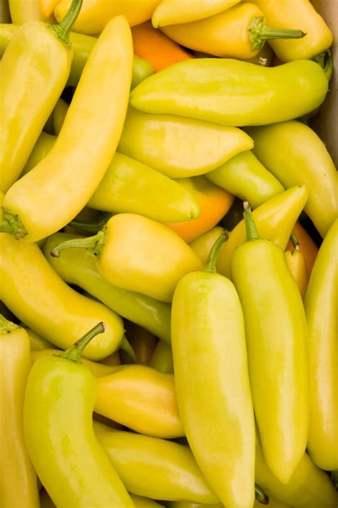 Pepperoncini Peppers Vs Banana Peppers
