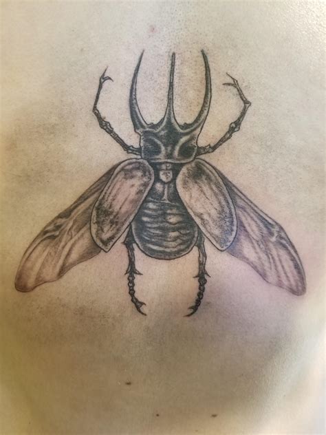 Japanese Rhinoceros Beetle Tattoo