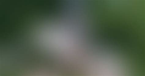 Frost's fun in the forest (ShadyLewds) [Mortal Kombat] : rule34