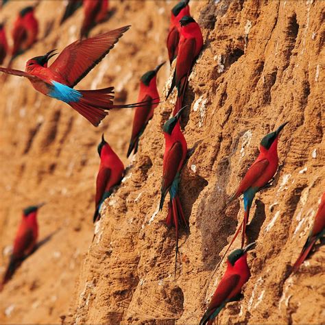 Zambia travel - Lonely Planet | Africa