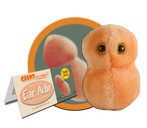 Ear Ache (Streptococcus Pneumoniae) – Giant Microbes Canada