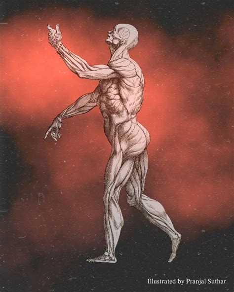 The Anatomy of Crime: a legacy which endures – Eureka