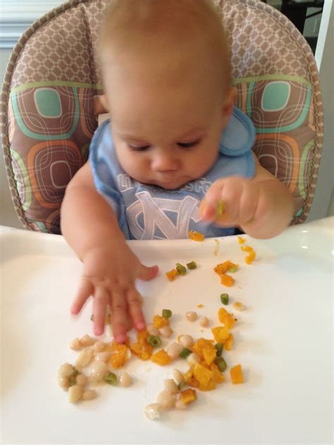 Introducing Finger Foods To Baby at Jerry Saffold blog