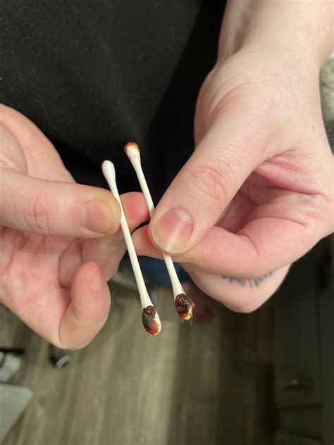 Didn’t even go that deep and this came out : r/earwax