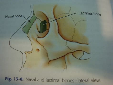 IHMC Public Cmaps (2)
