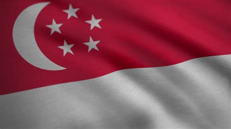 Singapore national flag. Waving flag of Singapore. Seamless Looping Animation 42320799 Stock ...