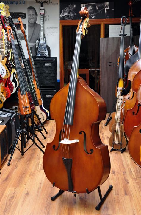 Second Hand Electric Double Bass at Tyson Walsh blog