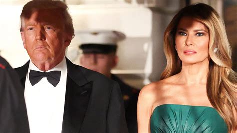 Who Designed Melania Dress Last Night