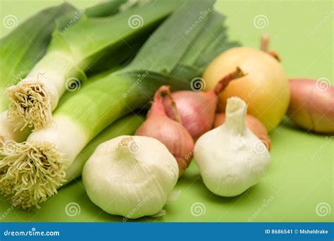 Onion Garlic Vegetable Family at Era Dennis blog