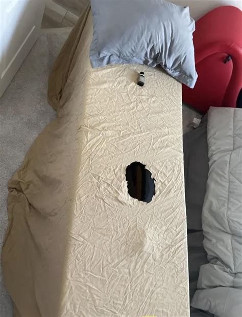 Milking table for bulls or in home gloryhol : r/dmvmeets