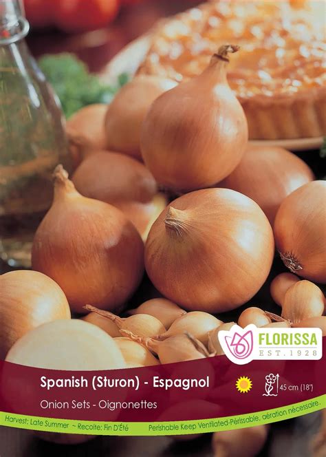 ONION SETS SPANISH 80PK - Oxford Insta-Shade