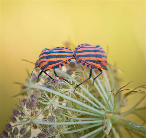 Naked+Older+Couples Photos, Download The BEST Free Naked+Older+Couples ...