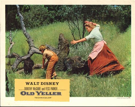 » Blog Archive » Old Yeller 1959 – Walt Disney