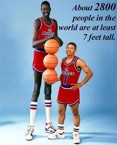 How Many 7 Footers Are in the World? | Interesting Facts | Percentage ...