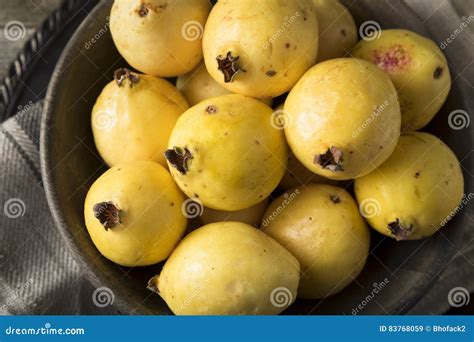 Raw Organic Yellow Guava Fruit Stock Image - Image of juicy, nutrition ...