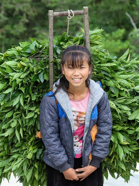 Fake Girl Photos, Download The BEST Free Fake Girl Stock Photos & HD Images