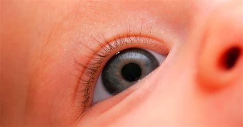 Timing of Baby Eye Color Change | 1-800 Contacts