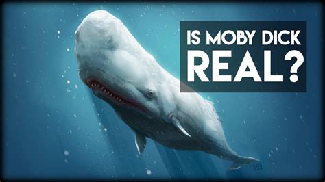Moby Dick Wallpaper (78+ pictures) - WallpaperSet
