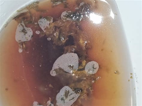 Foamy black(ish) diarrhea? : r/poop