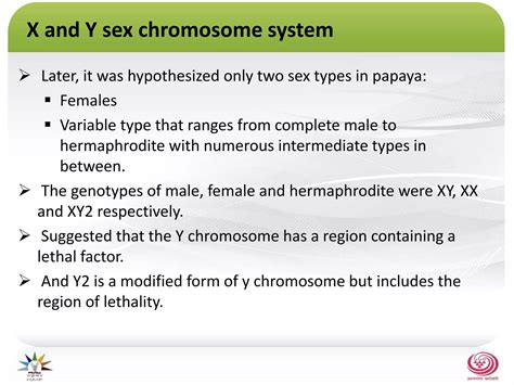 Sex determination in Papaya | PPTX