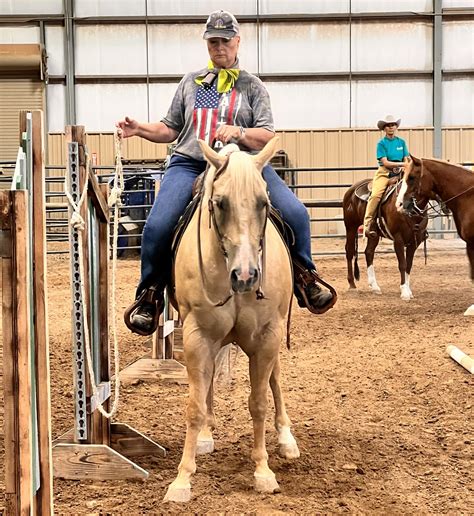 NMQHA – NEW MEXICO QUARTER HORSE ASSOCIATION