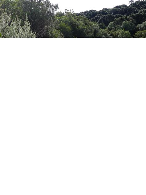 Brazilian Adventure (@brazilianadventure) - Urlebird