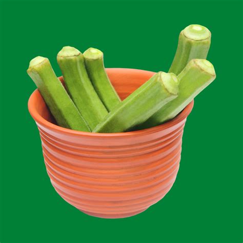 Okra Good For Intestines at Phillip Hayes blog