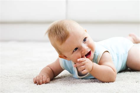 Carpet Reimagined: Comfort, Color, and a New Era of Style