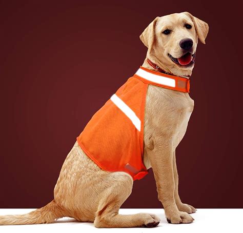 Amazon.com : Dog Jacket High Visibility Safety Reflective Dog Vest for ...