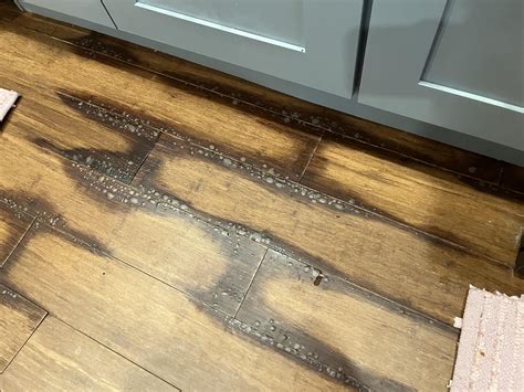 [Landlord - US - IL] Water damage to wood flooring, tenant claims its ...