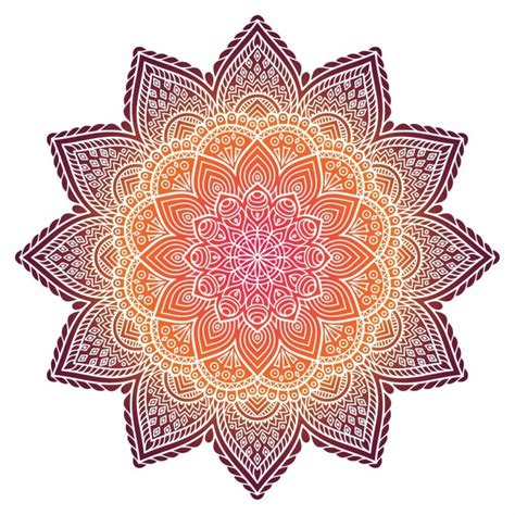 Meaning Behind Mandala Flower | Best Flower Site
