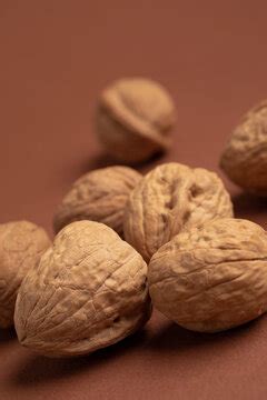 Nueces Bilder - Durchsuchen 4,369 Archivfotos, Vektorgrafiken und ...