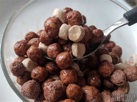 Review: Malt-O-Meal Double Chocolate Brownie Crunch Cereal - Cerealously