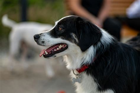 Naked+Anime+Girls+Wallpapers+For+Pc Photos, Download The BEST Free ...