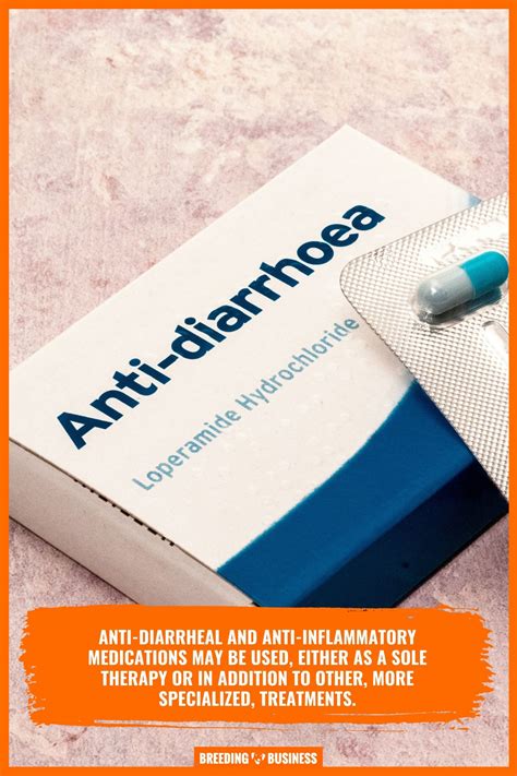 Dog Incontinence Treatment