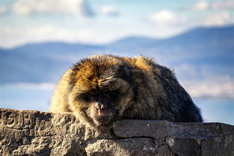 Mom+Big+Boobs Photos, Download The BEST Free Mom+Big+Boobs Stock Photos ...