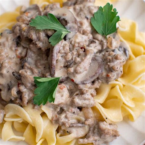Ground Beef Stroganoff - The Salty Marshmallow