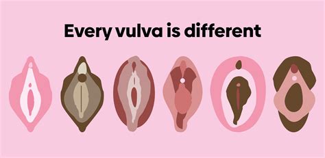 Vulva vs. Vagina: What’s the Difference — and How to Keep Them Clean – Fabpad.in