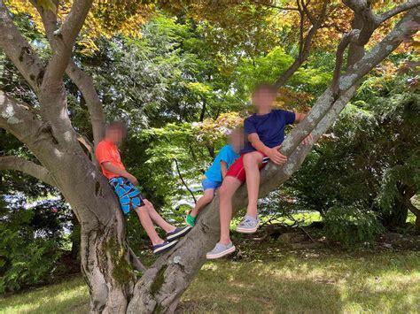 One Mother Shares Her Story of Sibling Sexual Abuse in her Family