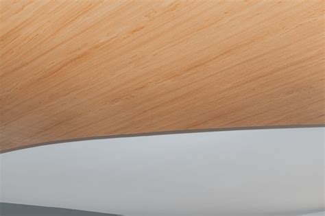 Trillium & Summerlin - Coquitlam - Interior Design Upgrade Remdal